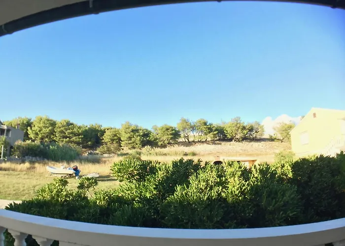 Apartment Sea View Nini